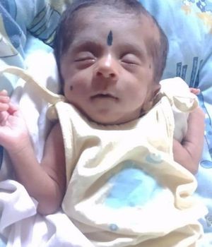 Sree Dharan